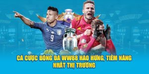 Cá cược bóng đá ww88